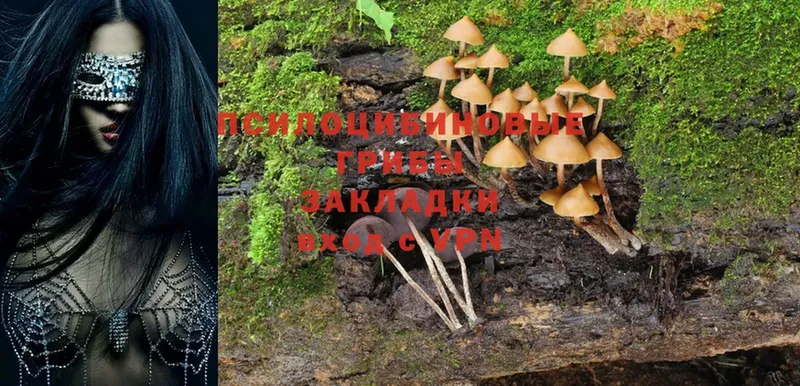 omg сайт  Семикаракорск  Галлюциногенные грибы MAGIC MUSHROOMS 